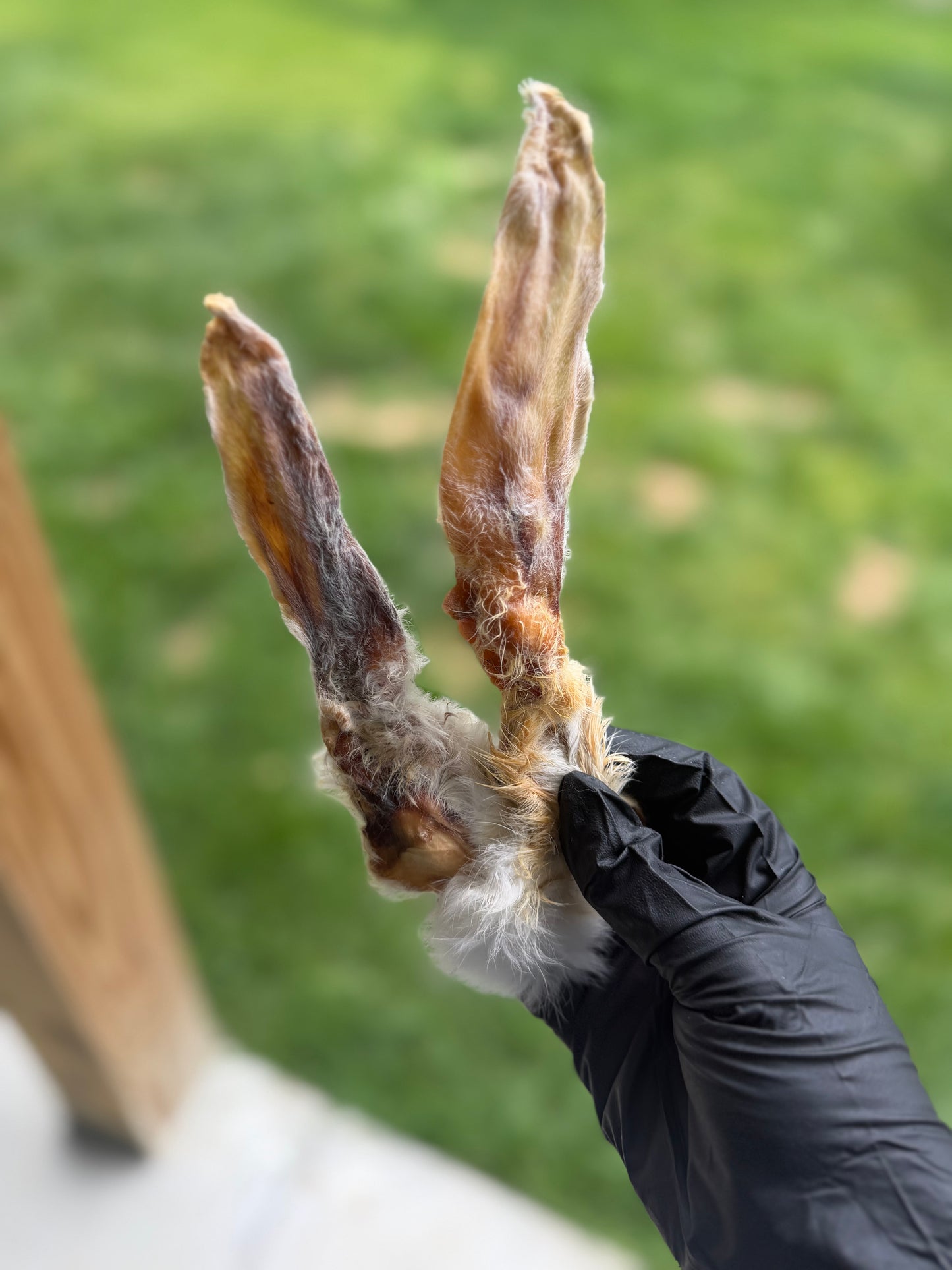 Rabbit Ear (2 Pack)