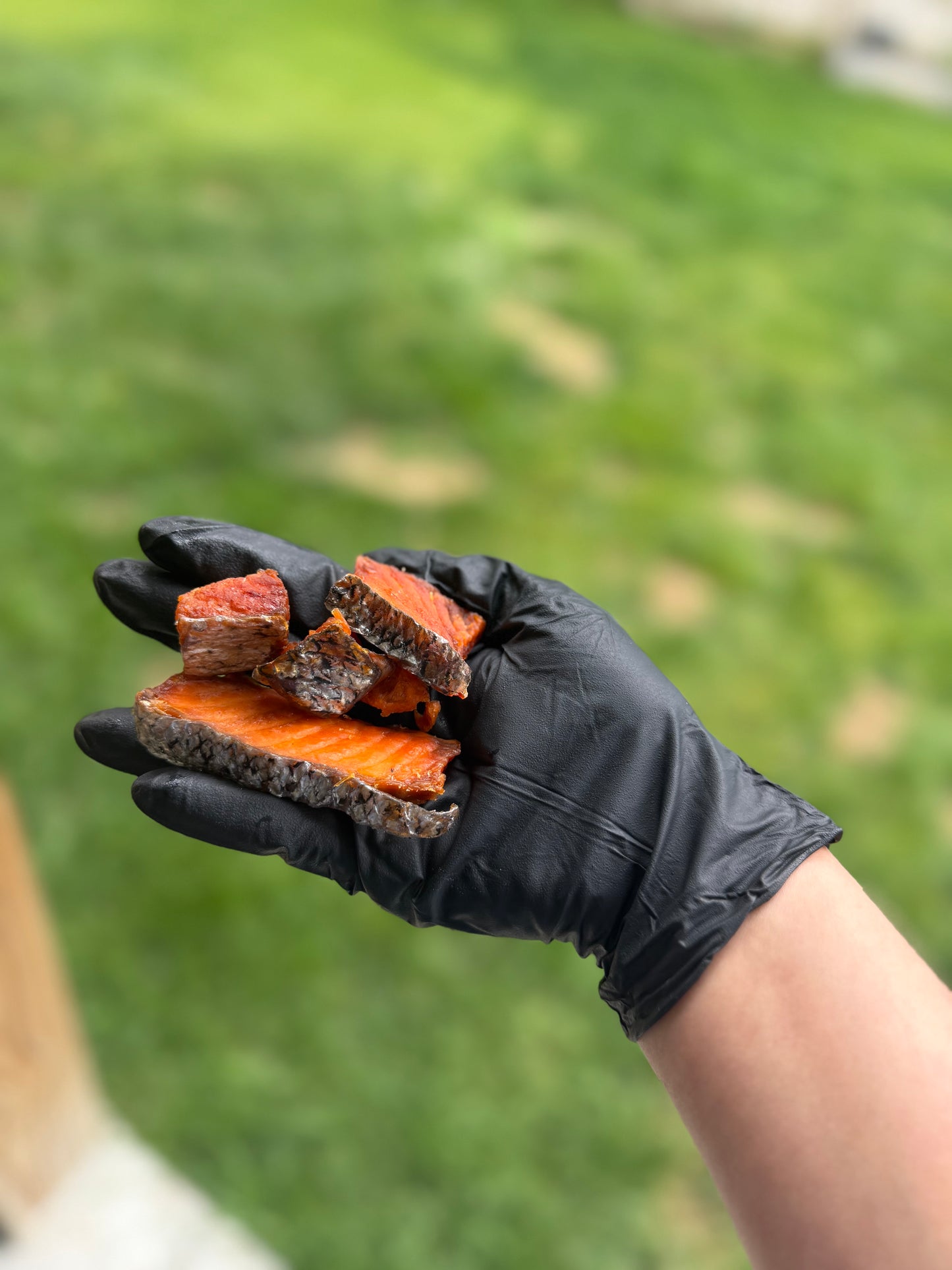 Salmon Chews (3 Oz.Bag)