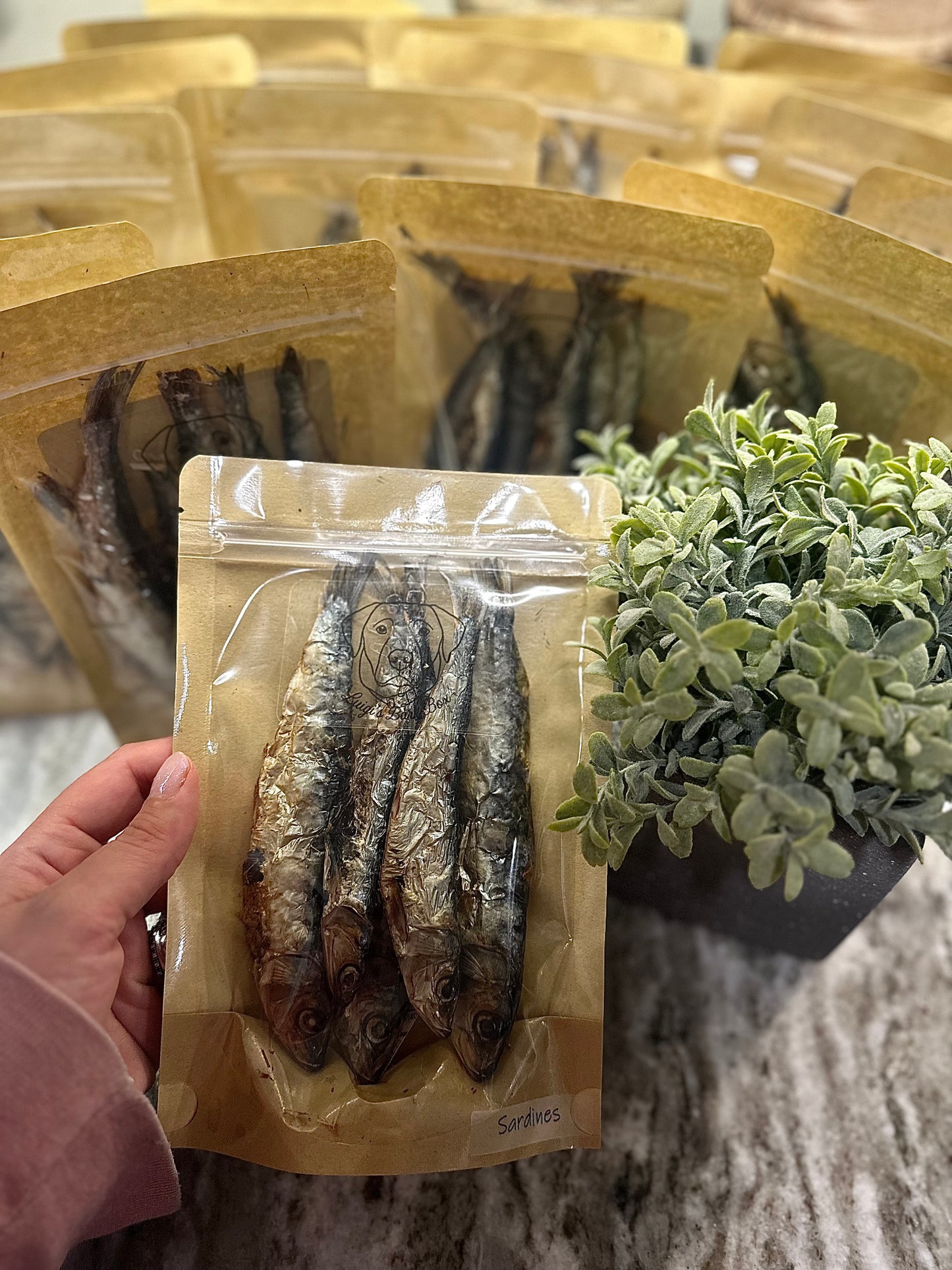 Sardines
