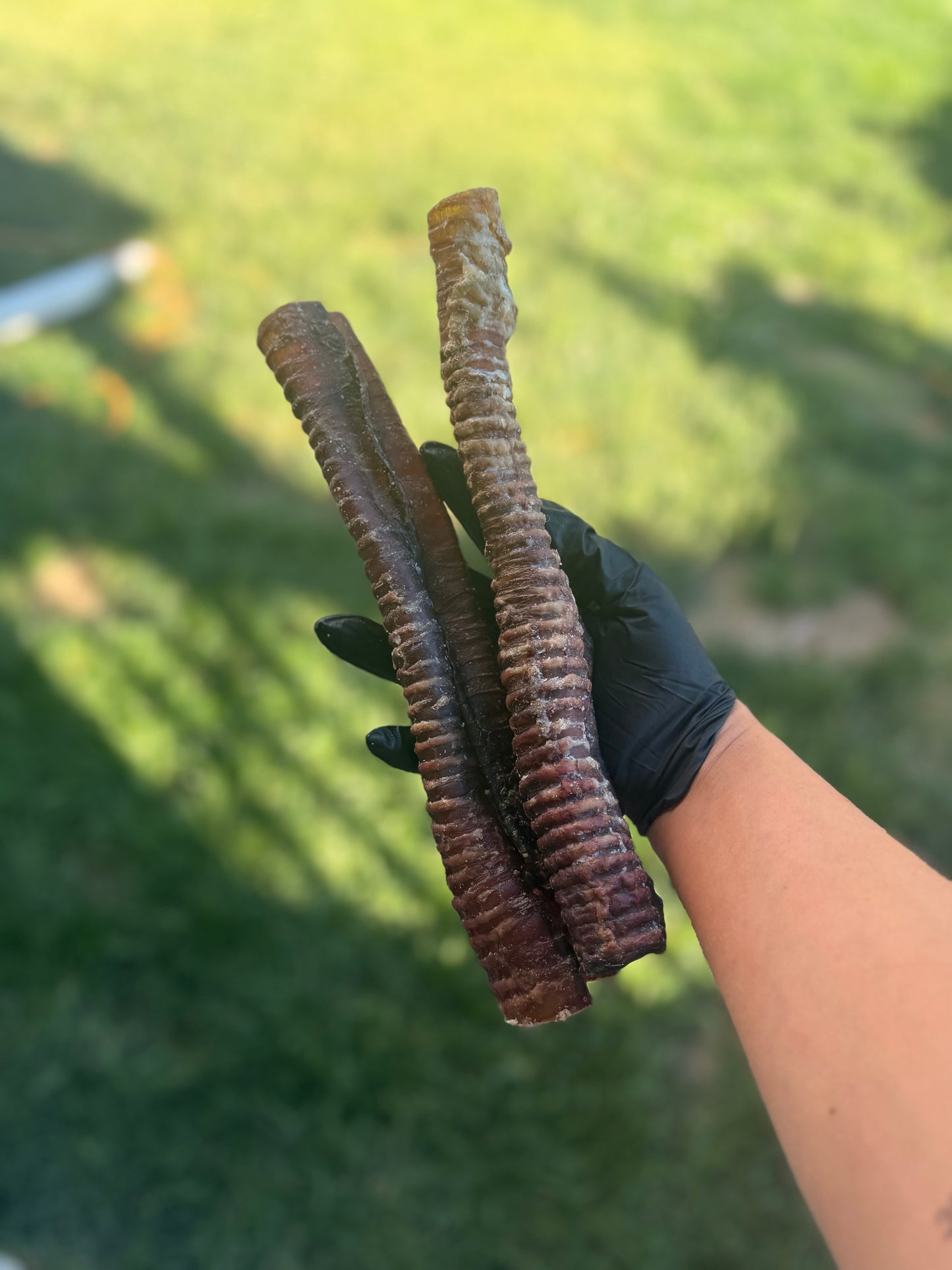 Beef Trachea 12” or 6”
